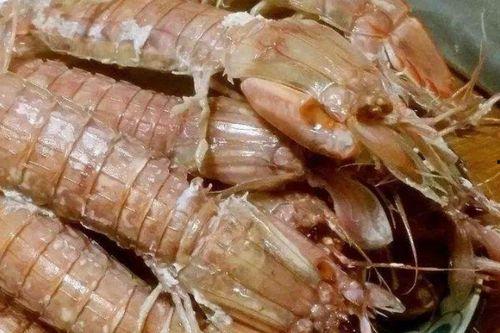 皮皮虾吃呆瓜,一场欢乐的美食冒险之旅