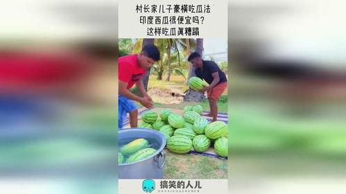 村长吃瓜视频,揭秘农村生活趣味瞬间