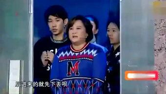 综艺吃瓜锅,揭秘娱乐圈幕后故事