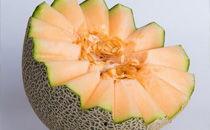 螃蟹和哈密瓜能一起吃吗