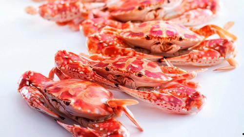 螃蟹和哈密瓜能一起吃吗