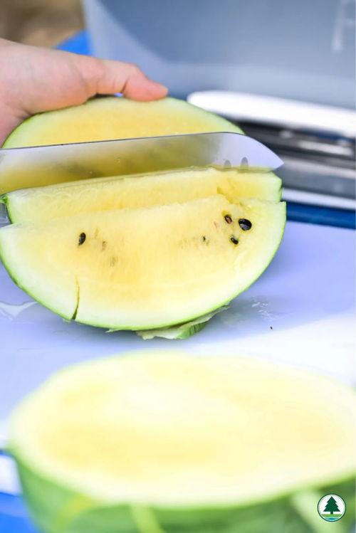 香港红港吃瓜,繁华都市中的吃瓜乐园