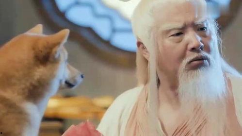 不作死吃瓜视频,揭秘“不作死吃瓜”背后的娱乐真相