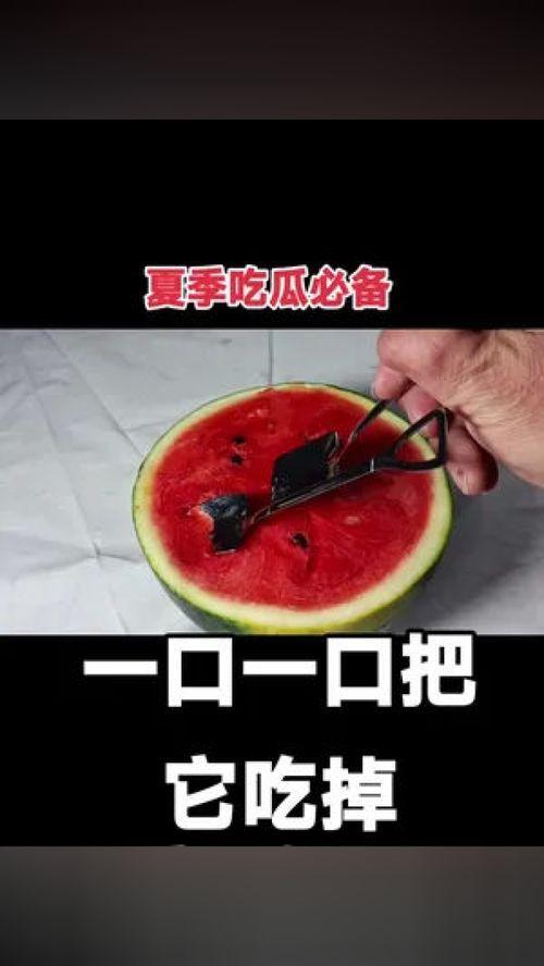 小说吃瓜必备,揭秘小说中的精彩幕后故事