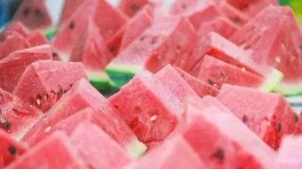 免费吃瓜每日大赛,免费吃瓜每日大赛，瓜友狂欢盛宴来袭！