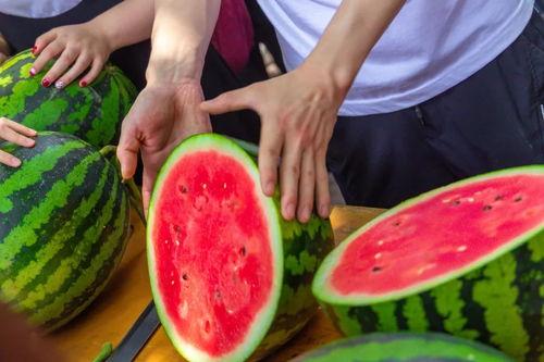 青岛学院吃瓜,吃瓜群众揭秘校园美食圈