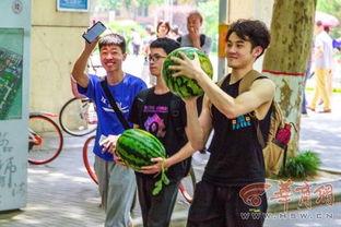 樱校吃瓜视频大赛