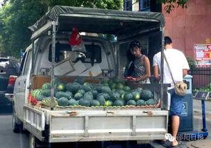 邵阳跳楼吃瓜,网络围观下的道德反思与法律探讨