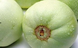 甜瓜本瓜不是吃瓜,非食用之果，却成就美味传奇