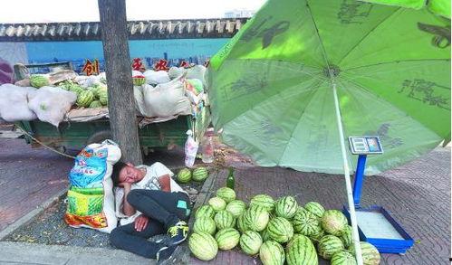 跳河人吃瓜,围观群众化身“吃瓜群众”，现场热闹非凡