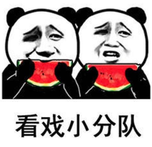 我请大家吃瓜