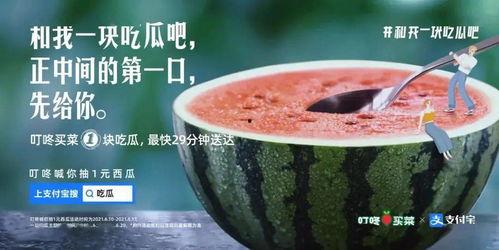 吃瓜不爱吃