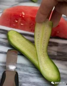 吃瓜群众卢小瓜,揭秘娱乐圈的“吃瓜群众”传奇