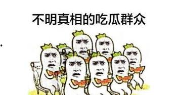 吃瓜群众211709,网络热议背后的真相