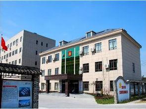 嘉兴硖石街道吃瓜,夏日吃瓜盛宴，品味传统与现代交融的街头风情