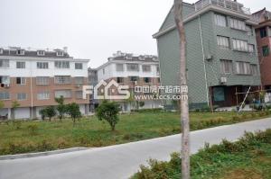 嘉兴硖石街道吃瓜,夏日吃瓜盛宴，品味传统与现代交融的街头风情