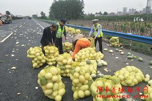 樱花校园吃瓜群众,吃瓜群众的热议焦点