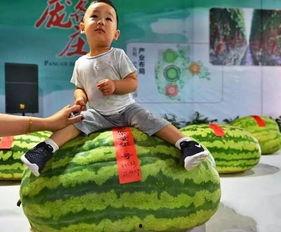 以愉快地吃瓜,愉快吃瓜时光