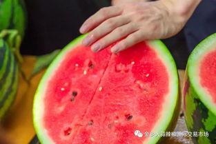 云南的大学吃瓜,瓜香四溢的味蕾之旅