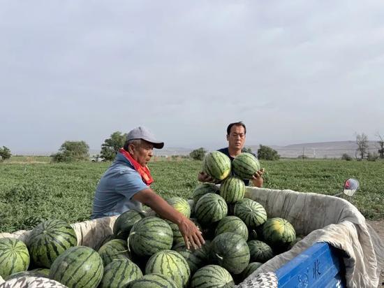 双龙湖 吃瓜,吃瓜群众热议风云