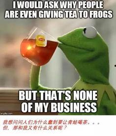 带你吃瓜青蛙,带你领略“吃瓜青蛙”的独特魅力