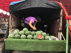 郑州操场吃瓜,揭秘校园生活背后的热点话题
