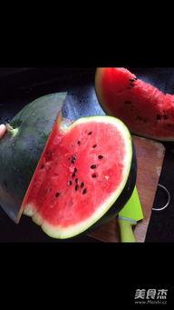 神兽吃瓜视频大全,趣味视频大全集锦