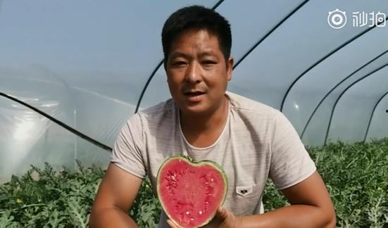 吃瓜网友 最新视频,热点事件背后的真相大揭秘！