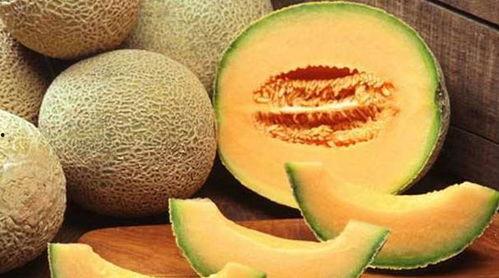 悟空吃哈密瓜,美味之旅开启