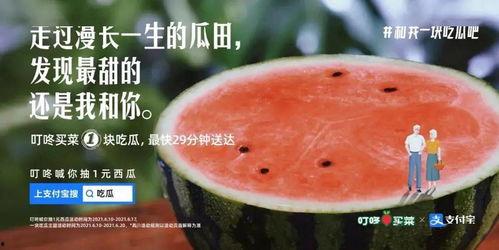 吃瓜大战的文案,揭秘网络舆论的风云变幻