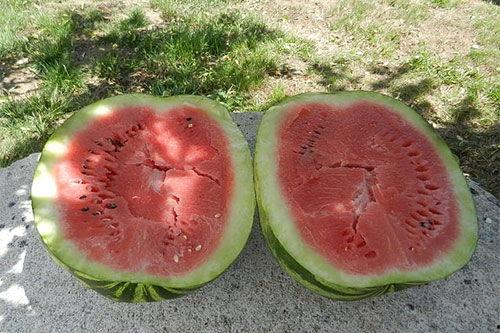 梦见姥姥吃瓜,姥姥吃瓜背后的温馨寓意