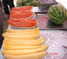 白白瓜咋吃,白白瓜的多样食用方法揭秘