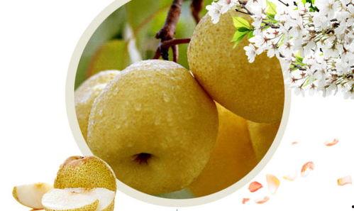 孕期吃酥瓜好吗,孕期适量食用酥瓜有益健康