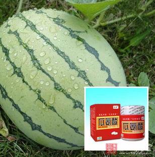 含瓜氨酸吃瓜,吃瓜新体验