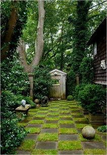 明德院亭子吃瓜,夏日吃瓜避暑，共享清凉时光