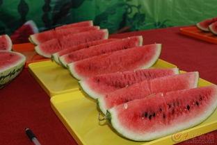 单县终兴吃瓜,探寻瓜乡风情，品味田园生活
