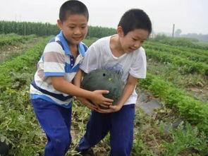 吃瓜秘密基地最新,探寻娱乐圈幕后真相