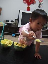 嘟嘟吃西瓜咕咕瓜视频,嘟嘟与咕咕瓜的欢乐西瓜之旅