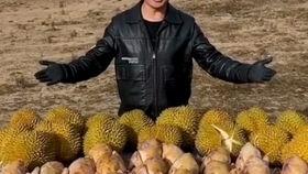 云南在边境吃瓜