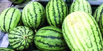 就快0吃瓜,揭秘娱乐圈最新热点事件