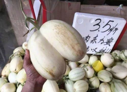 吃瓜图片童年搞笑,那些年我们一起“笑果”的日子