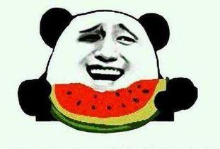 跳楼碰上吃瓜老板,上演生死瞬间