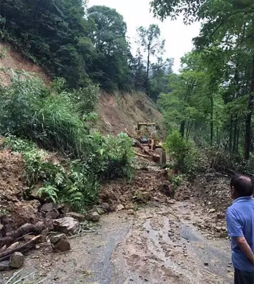 吃瓜直播流量塌方,揭秘背后真相与行业反思