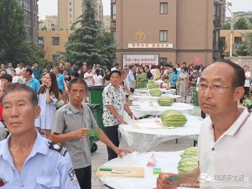 节目现场吃瓜,揭秘节目幕后真相