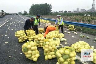 河南实验吃瓜,揭秘背后的真相与争议