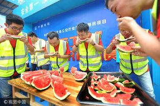 工地吃瓜比赛最新,夏日工地里的清凉趣味竞技