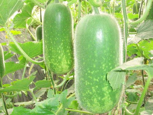 0107吃瓜,揭秘娱乐圈最新热点事件