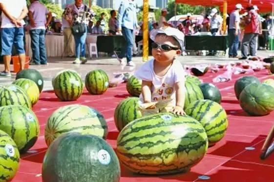 真正吃瓜大赛,揭秘“真正吃瓜大赛”的精彩瞬间