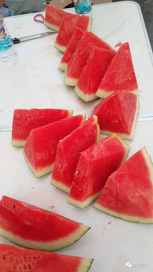 真正吃瓜大赛,揭秘“真正吃瓜大赛”的精彩瞬间