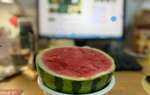 吃瓜视频大自然,揭秘吃瓜视频中的生态奥秘